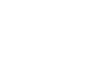Netokracija bijeli logo -web
